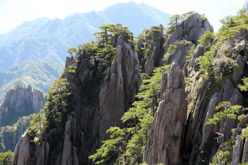 Twisting pine trees, winding stone paths, and mystical views continue to enchant visitors (Source: Pexels)